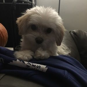 Meet your Posher, Alanah